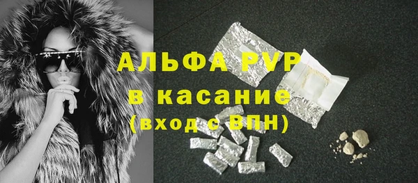 гашик Щигры