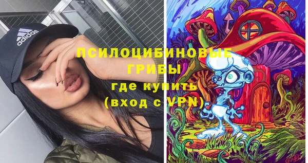 прущая мука Щёлкино