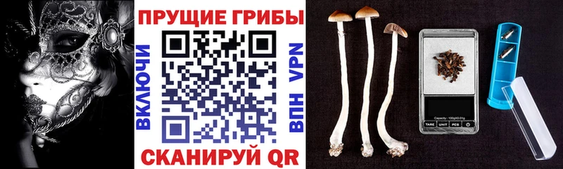 ОМГ ОМГ онион  Серпухов  Псилоцибиновые грибы Cubensis 