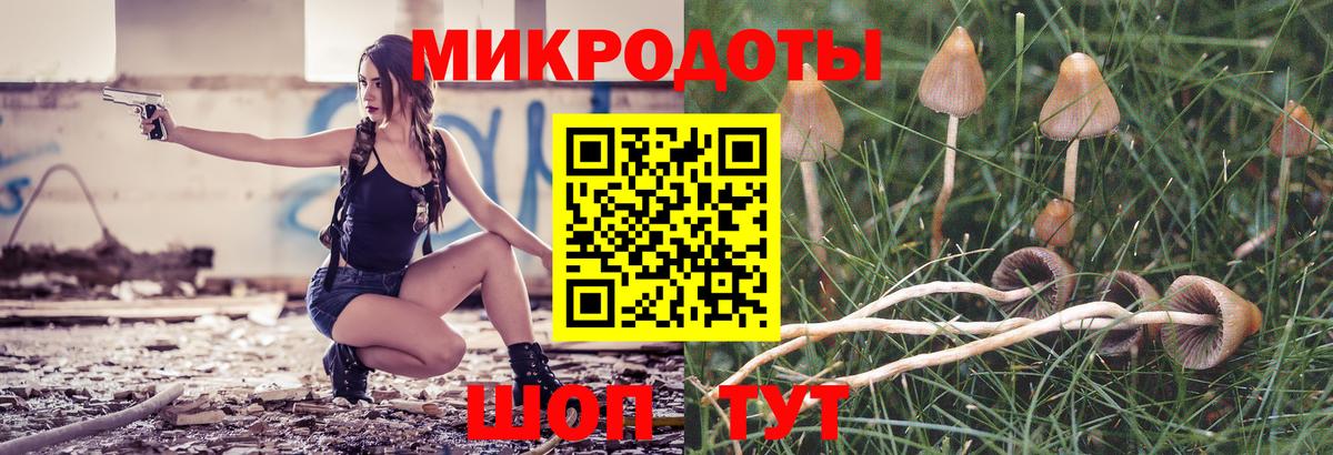 Галлюциногенные грибы Psilocybine cubensis  Вход с VPN  Серпухов 